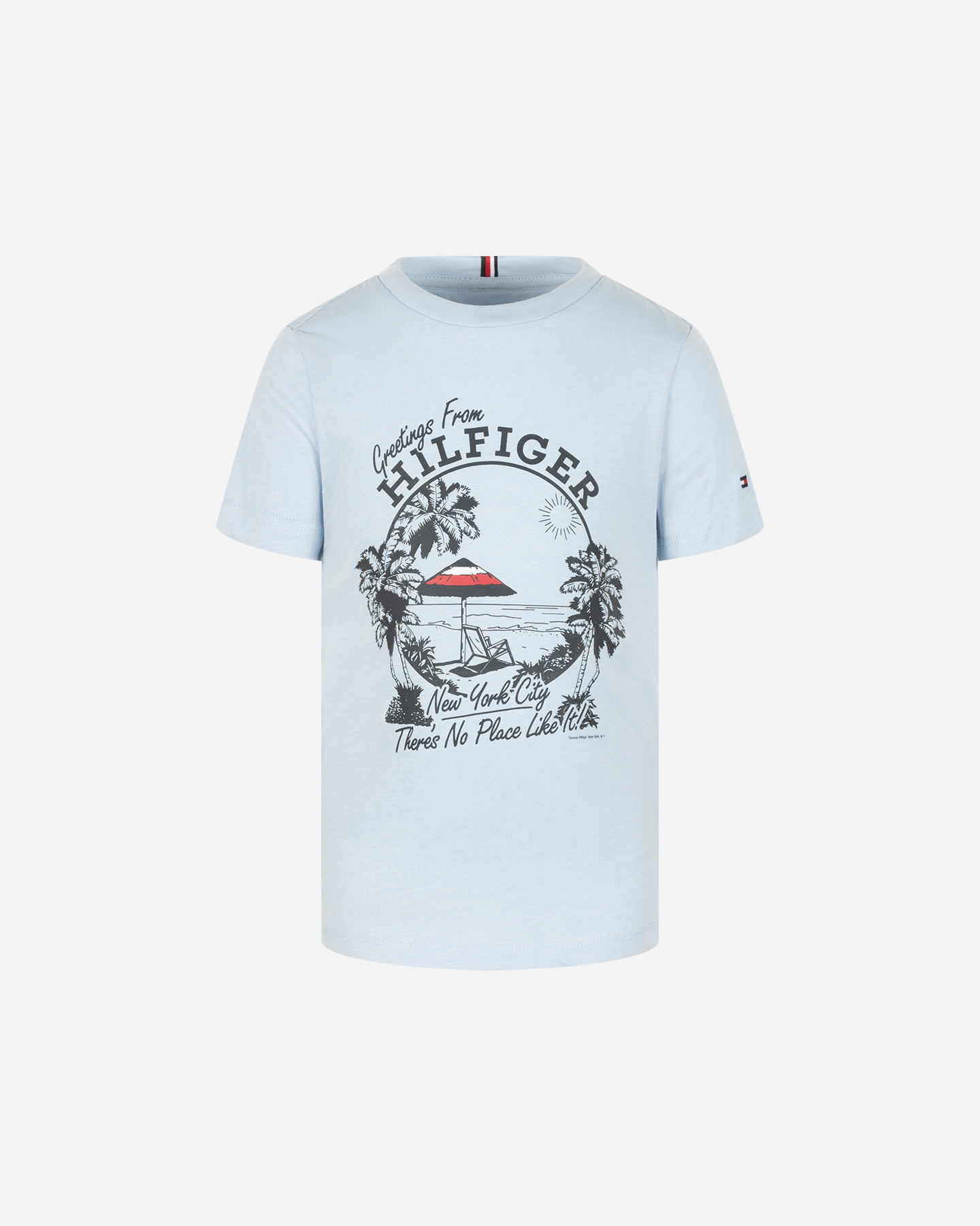 T-shirt TOMMY HILFIGER GREETINGS FROM JR - Blu - 0 | Cisalfa Sport